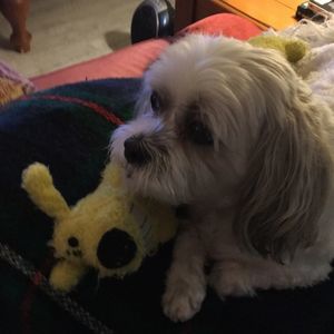 Meet your Posher, Barbara